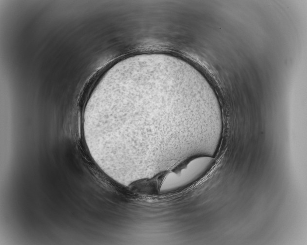 X0000093421219200711091411