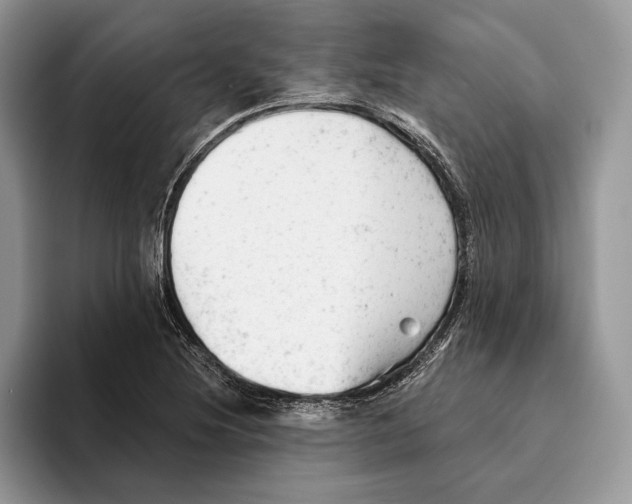 X0000093421220200711091411