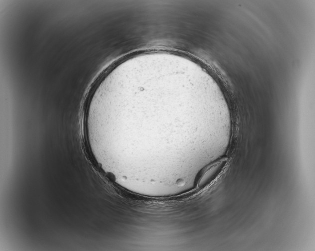 X0000093421224200711091411