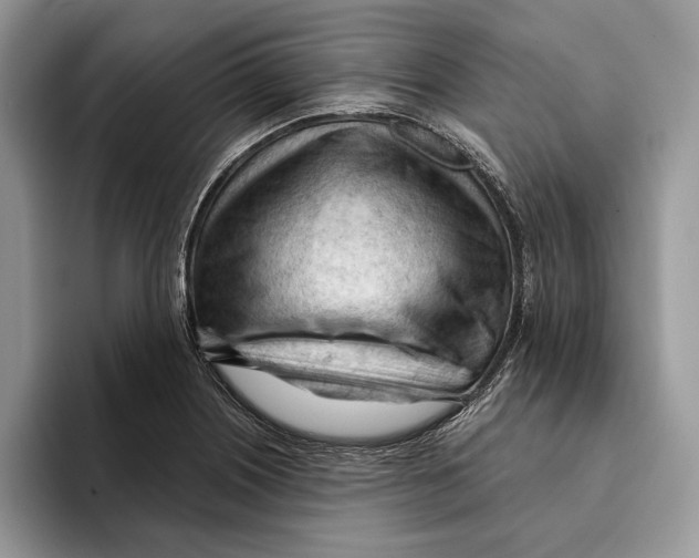 X0000093421226200711091411