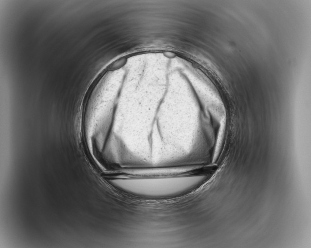 X0000093421228200711091411