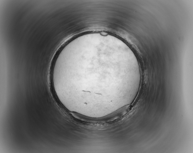 X0000093421229200711091411