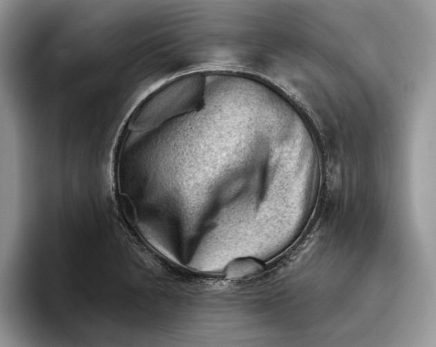 X0000093421230200711091411