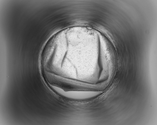 X0000093421235200711091411