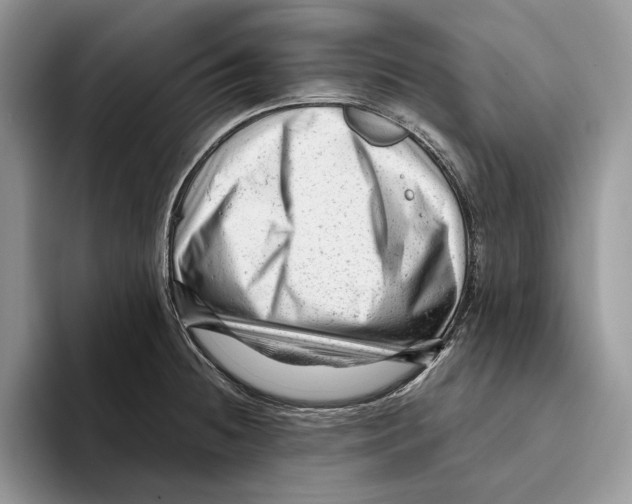 X0000093421236200711091411