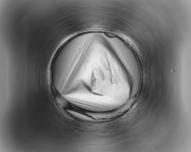 X0000093421238200711091411