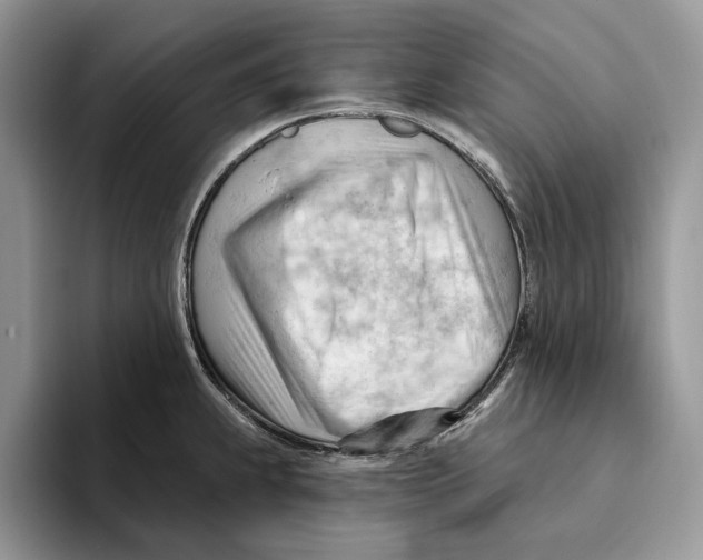 X0000093421239200711091411