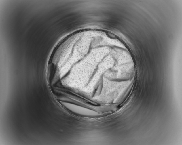 X0000093421240200711091411