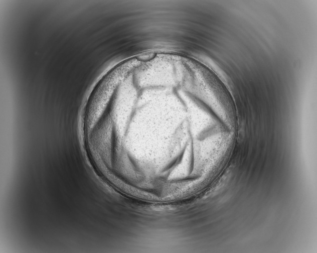 X0000093421243200711091411