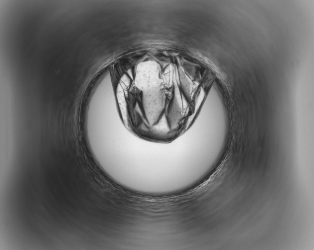 X0000093421261200711091411