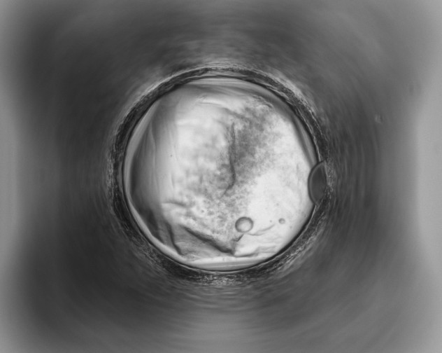 X0000093421263200711091411