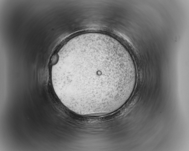 X0000093421267200711091411