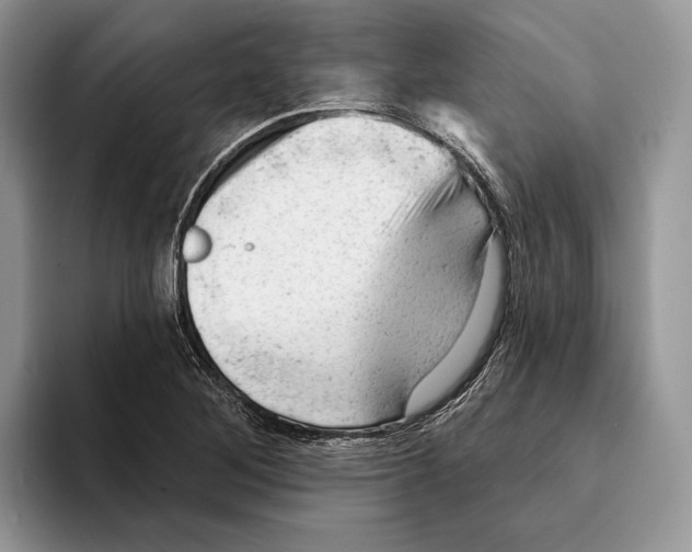 X0000093421268200711091411