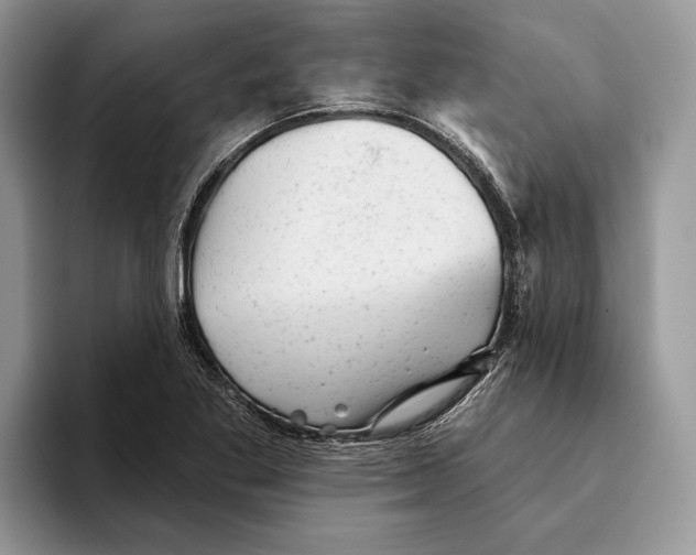 X0000093421269200711091411