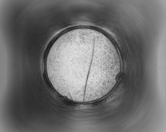 X0000093421271200711091410