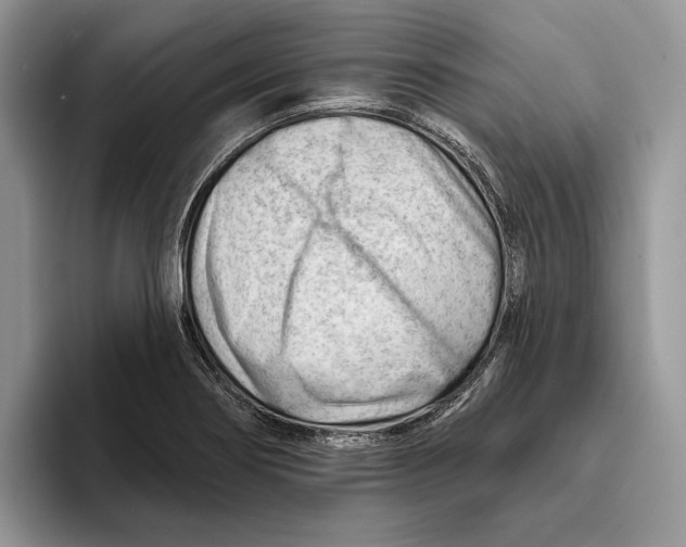 X0000093421274200711091410