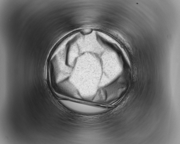 X0000093421276200711091410