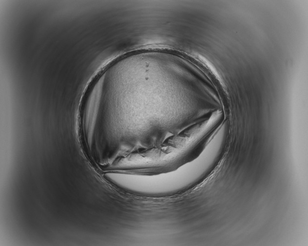 X0000093421277200711091410