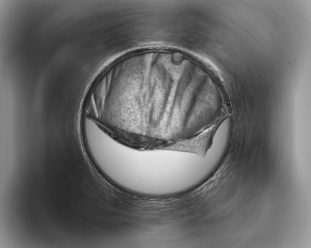 X0000093421279200711091410