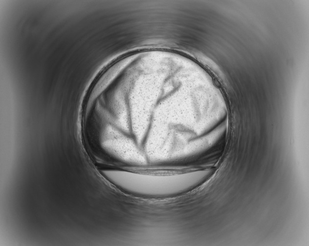 X0000093421288200711091410