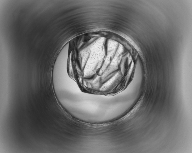 X0000093421289200711091410