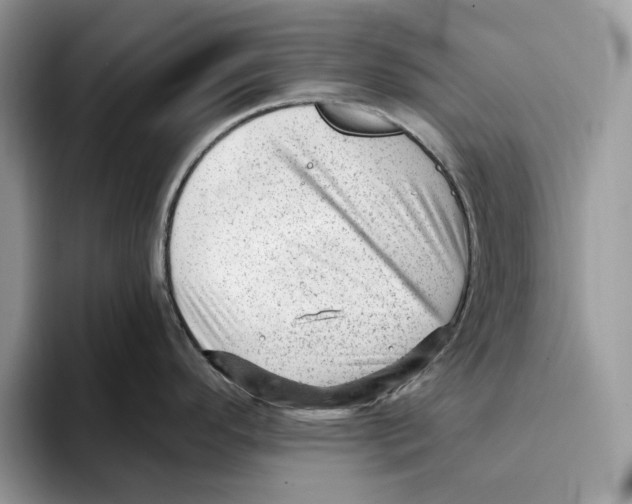 X0000093421296200711091410