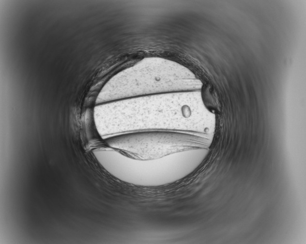 X0000093421298200711091410