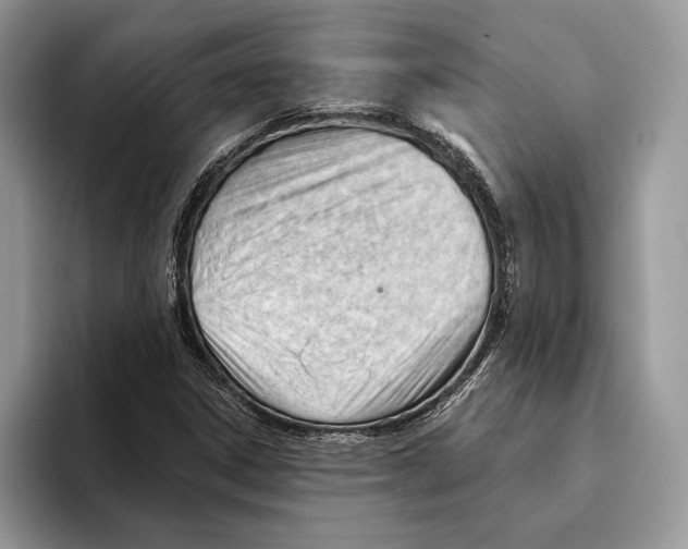 X0000093421306200711091410