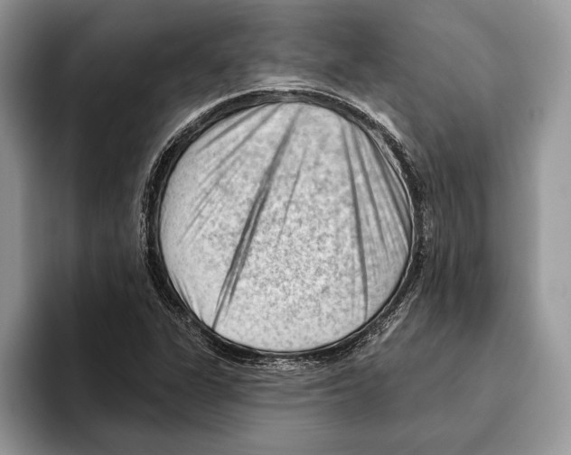 X0000093421311200711091410