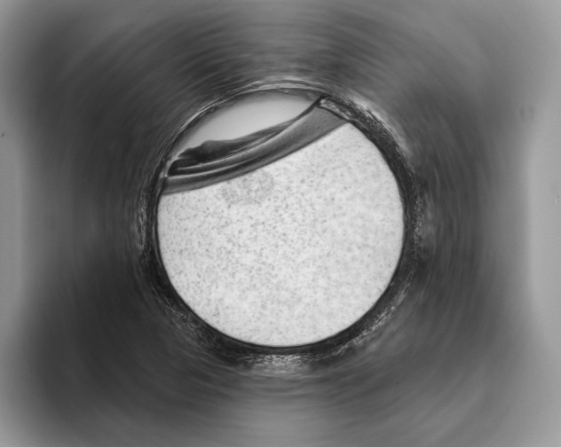 X0000093421313200711091410