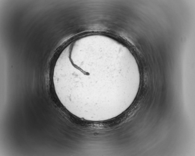 X0000093421315200711091410