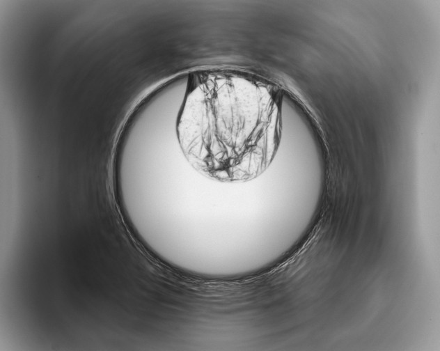 X0000093421320200711091410