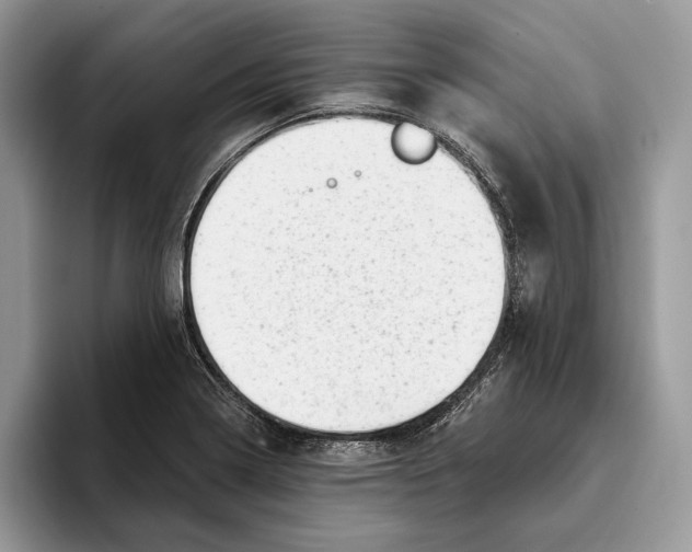 X0000093421322200711091410