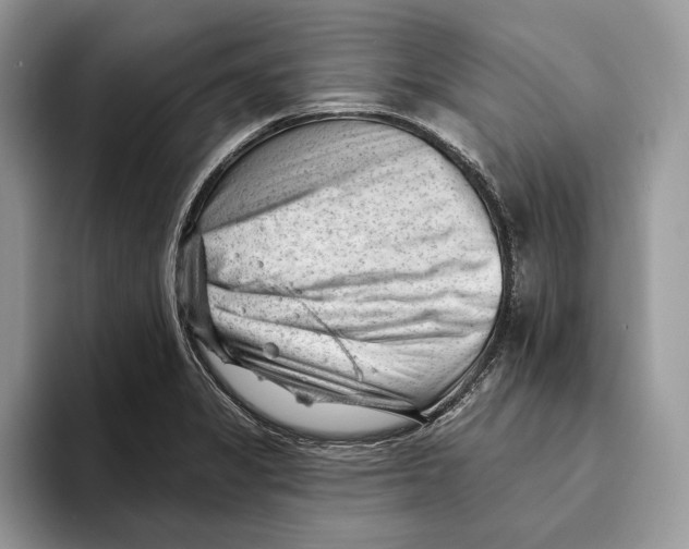 X0000093421325200711091410