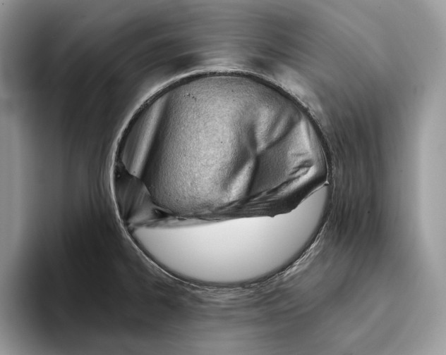 X0000093421334200711091410