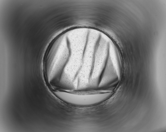 X0000093421335200711091410