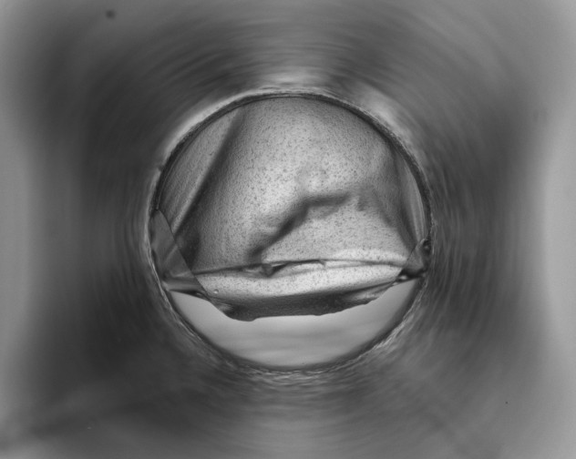 X0000093421336200711091410