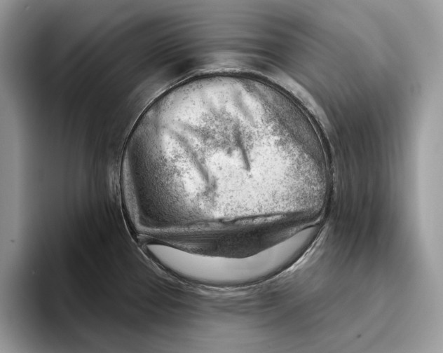 X0000093421337200711091410