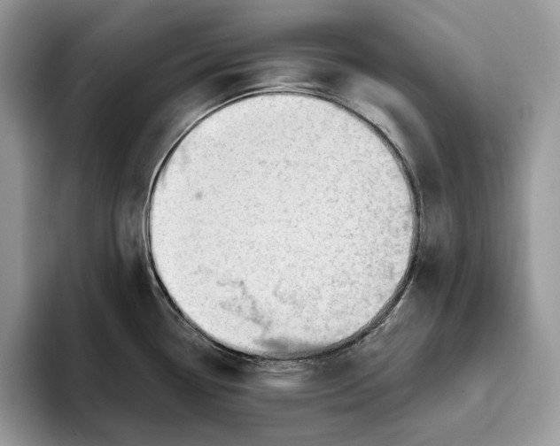 X0000093421338200711091410