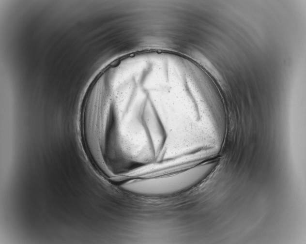 X0000093421339200711091410