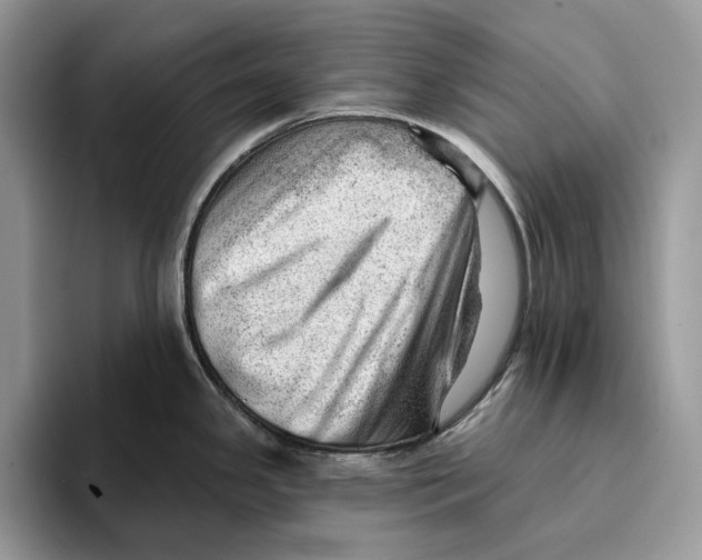 X0000093421341200711091410