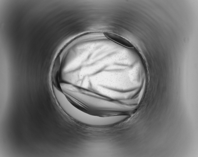 X0000093421344200711091410