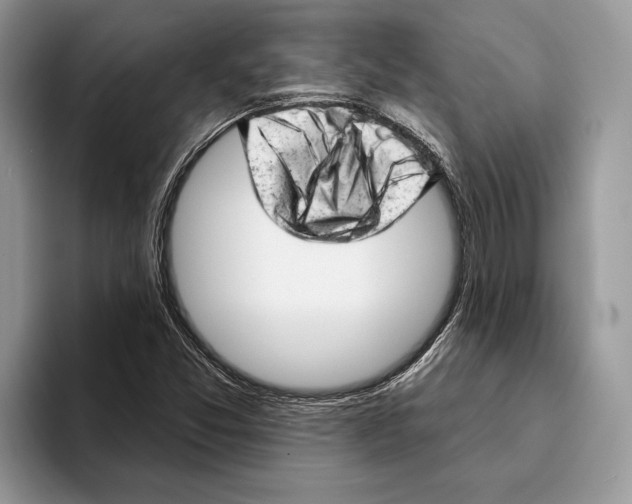 X0000093421357200711091409