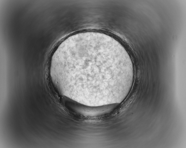 X0000093421359200711091409