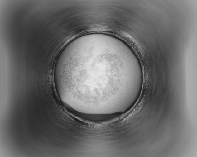 X0000093421361200711091409