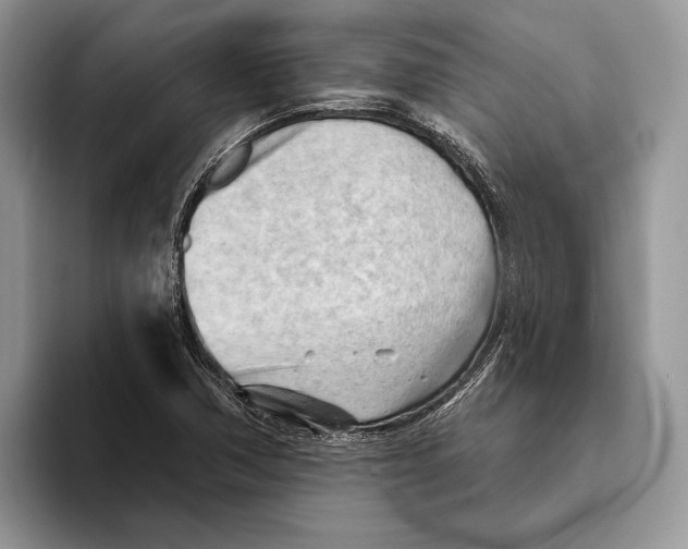 X0000093421362200711091409