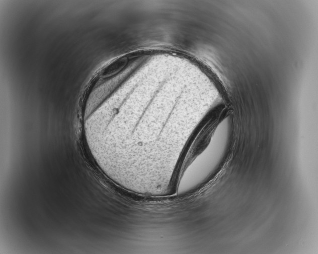 X0000093421363200711091409