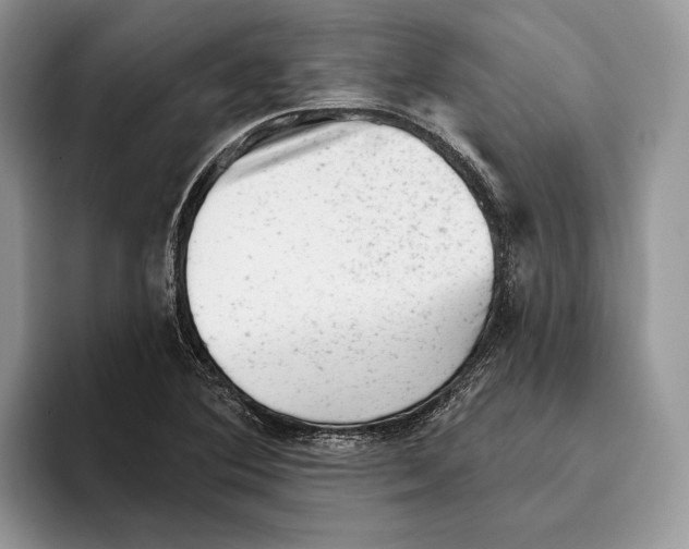 X0000093421364200711091409