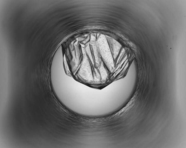 X0000093421369200711091409