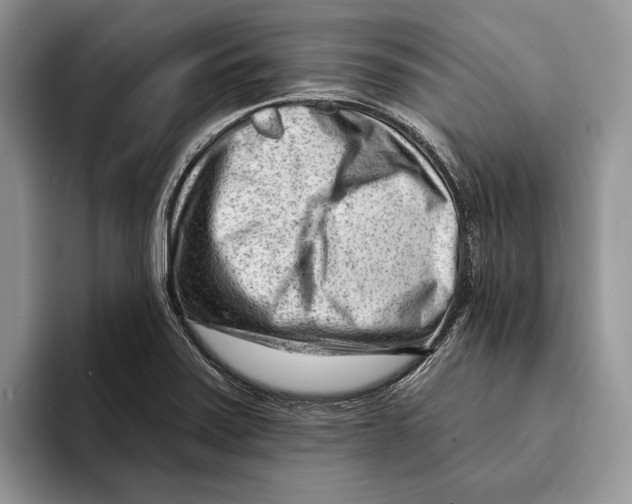 X0000093421371200711091409